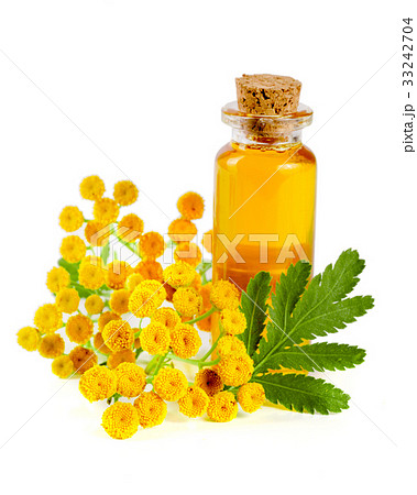 essential tansy oil with flowers and leaf isolated 33242704