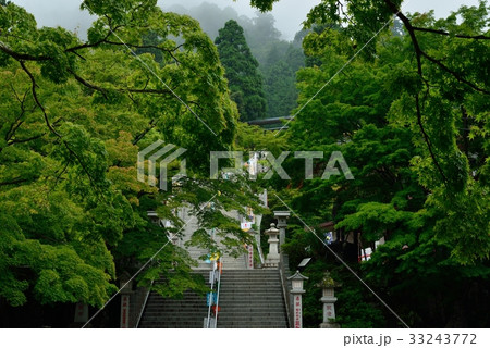 大山阿夫利神社 33243772