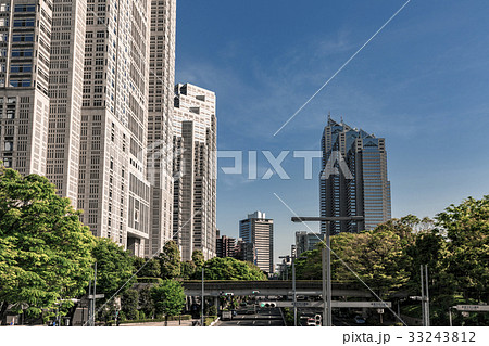東京都庁と新宿パークタワーと新緑の街路樹 東京都庁と新宿パークタワーと新緑の街路樹 33243812