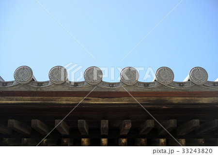 大覚寺葉菊紋 33243820