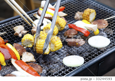 アウトドア　バーベキュー　BBQを楽しむ仲間 33244593