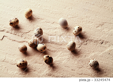 ウズラの卵 33245474