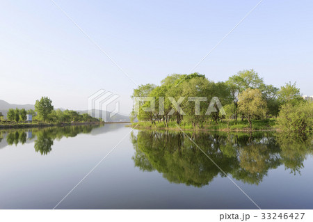 朝 森 島 33246427