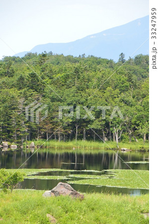 知床五湖の「一湖」（北海道斜里郡斜里町） 33247959