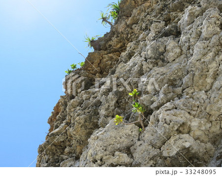 岩(伊良部島 中の島海岸) 岩(伊良部島 中の島海岸) 33248095
