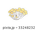 しめじ 33248232