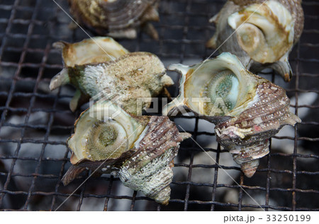 さざえのつぼ焼き 33250199