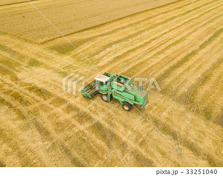 Top view combine harvester gathers the wheat 33251040