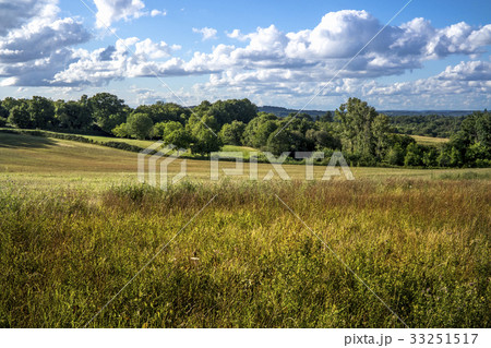 Rural scene Rural scene 33251517