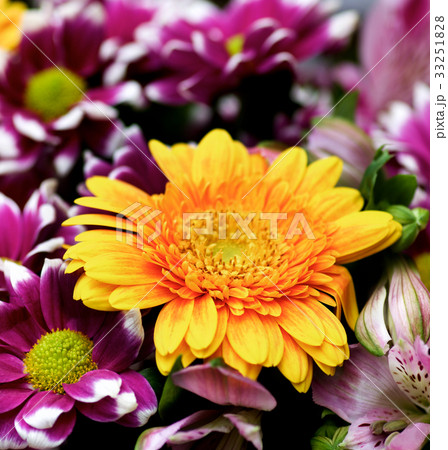 Colorful Summer Bouquet Colorful Summer Bouquet 33251828