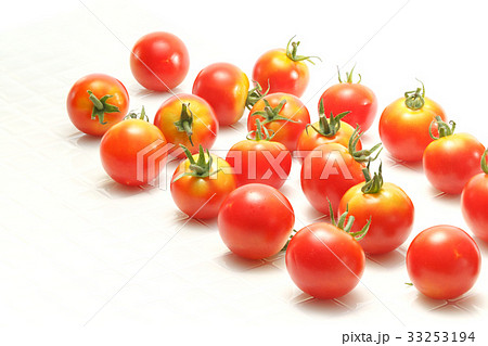 野菜　ミディトマト　産地：八女産はなひめ 33253194
