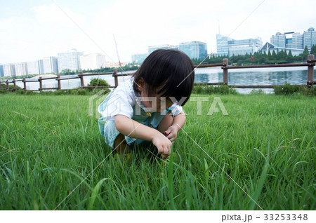 湖公園 湖水公園 子供 33253348