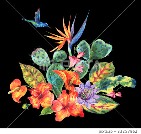 Watercolor Cactus, tropical flowers, hummingbird 33257862