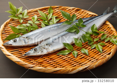 生秋刀魚 33258010