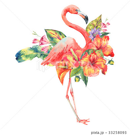 Watercolor Pink Flamingo And Tropical Flowersのイラスト素材