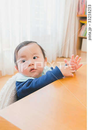 1 year old 33258253