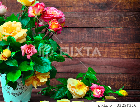 bouquet of flowering multicolored roses bouquet of flowering multicolored roses 33258326