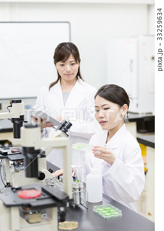 科学 科学 33259634