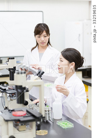 科学　 33259635