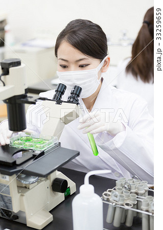 科学 科学 33259659
