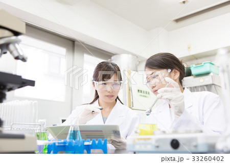 科学 科学 33260402