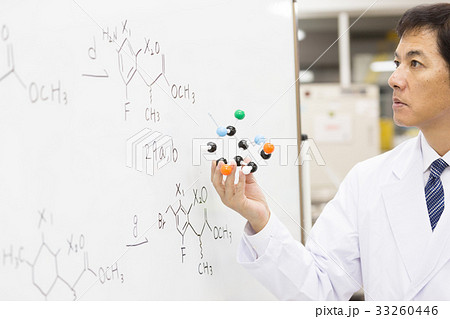 科学 科学 33260446