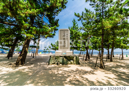 大浜海水浴場 千本黒松 大浜海水浴場 千本黒松 33260920