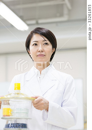 科学 科学 33261855