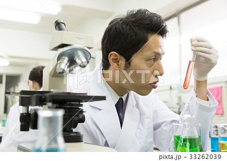 科学 33262039