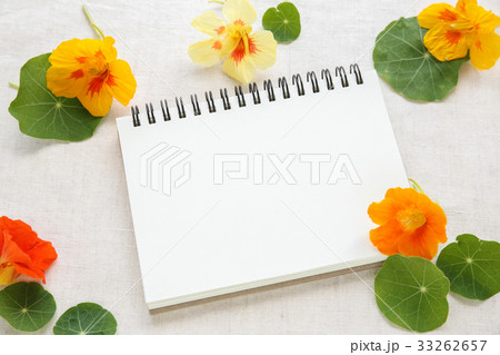 orange edible flowers nasturtium with notepad 33262657