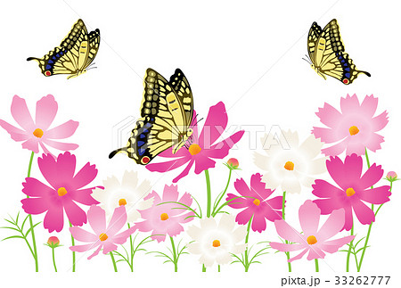 蝶々のイラスト素材 [33262777] - PIXTA