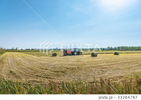 牧草地の風景 牧草地の風景 33264787