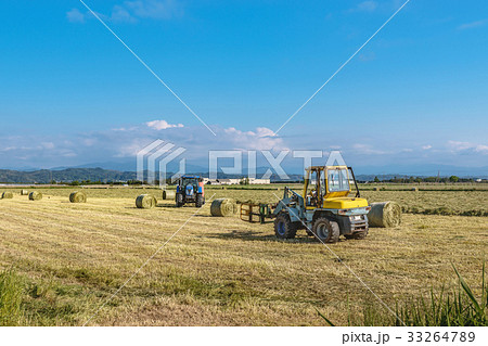 牧草地の風景 牧草地の風景 33264789