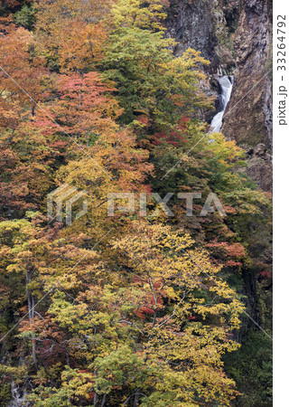 紅葉の惣滝最下段の滝 33264792