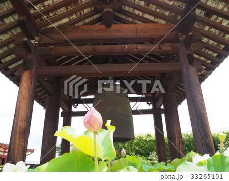 奈良薬師寺 33265101