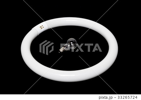 蛍光灯と電球 蛍光灯と電球 33265724