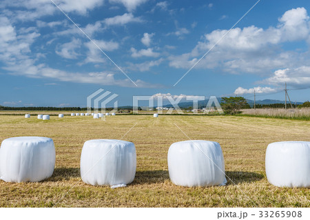 牧草地の風景 牧草地の風景 33265908