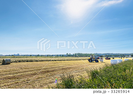 牧草地の風景 牧草地の風景 33265914