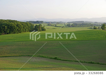 北西の丘展望公園から見る光景 北西の丘展望公園から見る光景 33268086