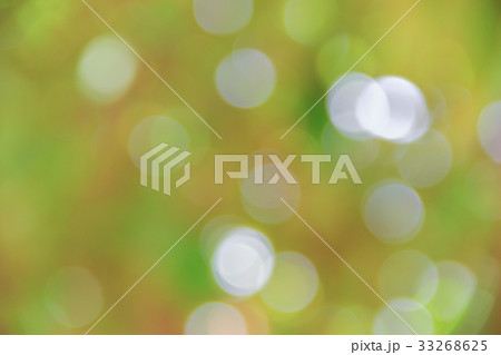 Bokeh natural color background, colorful leaf  33268625