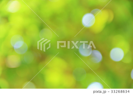 Bokeh natural color background, colorful leaf  33268634