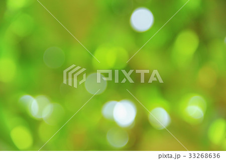 Bokeh natural color background, colorful leaf  33268636