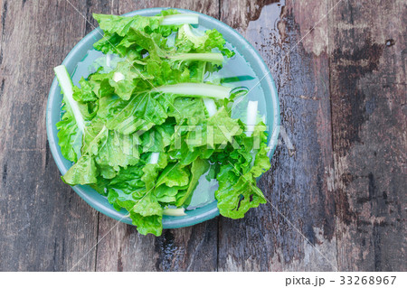 Chinese cabbage organic vegetables Soak and wash Chinese cabbage organic vegetables Soak and wash 33268967