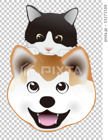 狗和貓 狗和貓 33271588