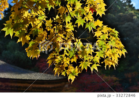 湖東三山西明寺 33272846