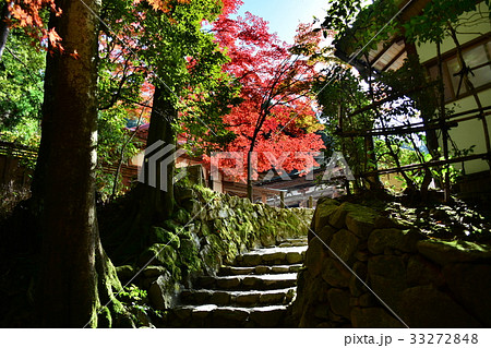 湖東三山西明寺 33272848