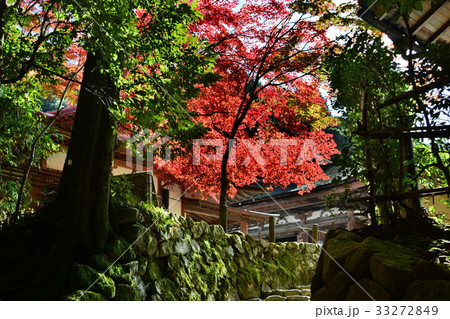 湖東三山西明寺 湖東三山西明寺 33272849