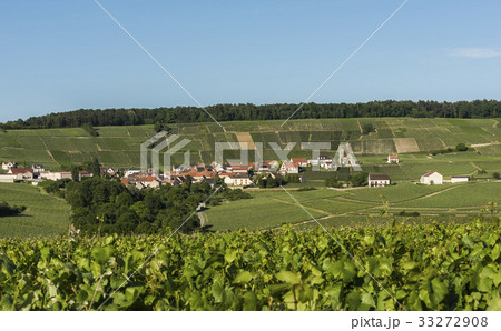 Leuvrigny Vineyards Vallee de la Marne 33272908