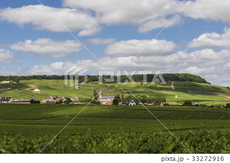 Oger in Champagne District 33272916