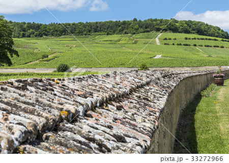Vineyards at Oger 33272966